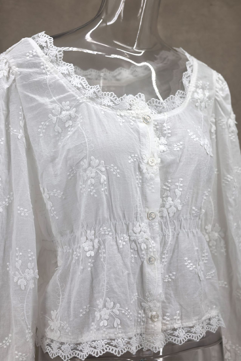 Sexy Daily Embroidered Buttons See-Through U Neck Blouses