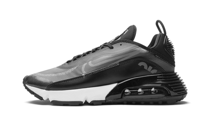 AIR MAX 2090 "Black / Wolf Grey" CW7306 001