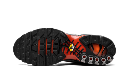 Air Max Plus "Wolf Grey Picante Red" DM0032 011