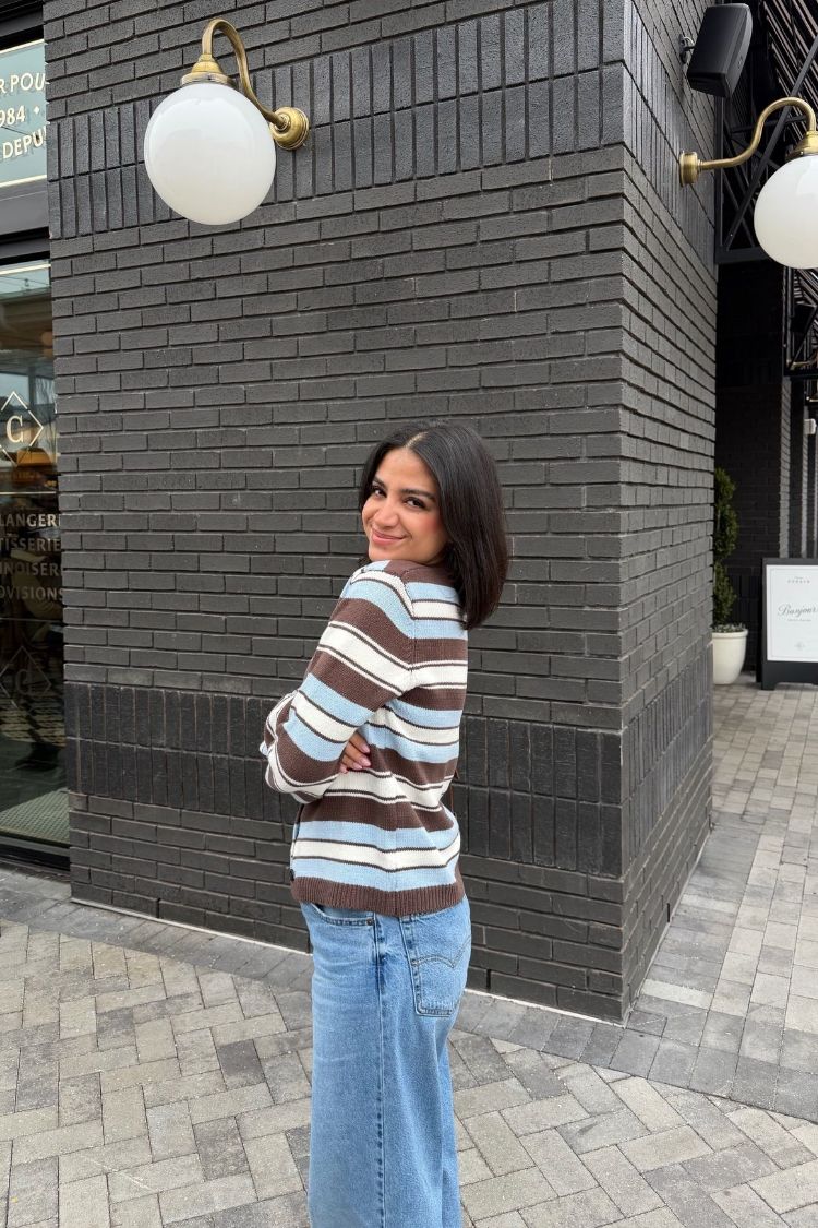 Misha Brown and Blue Stripe Button Down Cardigan - PRE ORDER