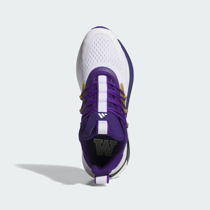 Men's adidas Washington Alphaboost V2 Shoes