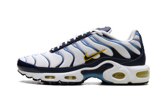 Air Max Plus CT1094 100