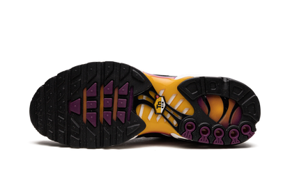Air Max Plus DX2663 001