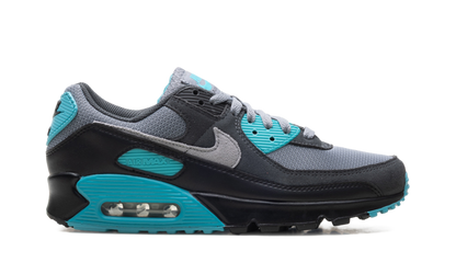 Air Max 90 "Dusty Cactus" DM0029 013